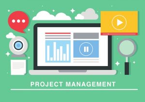 PROJECT MANAGER